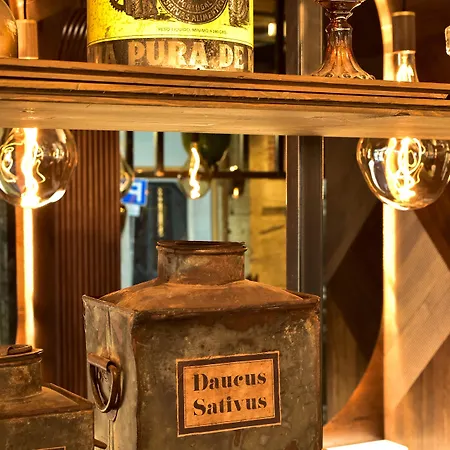 فندق My Story Figueira 4*